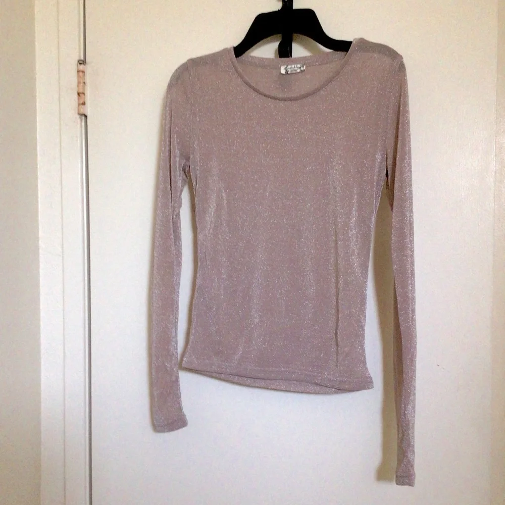 Free People Mesh Sparkly Sheer Top